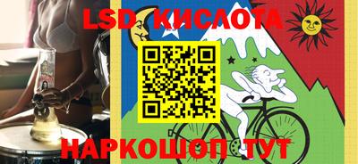 шишки Абакан
