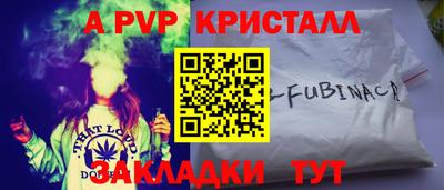 шишки Абакан