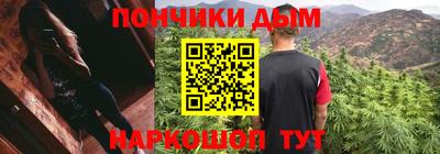 шишки Абакан