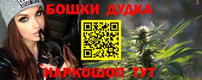 шишки Абакан