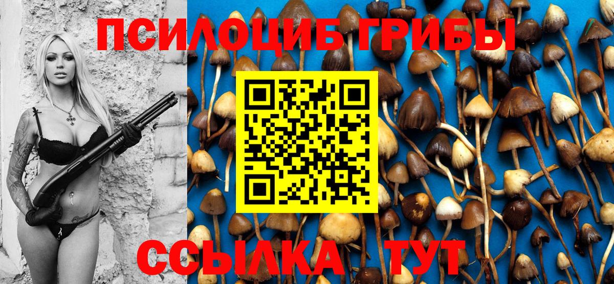Псилоцибиновые грибы Cubensis Россия