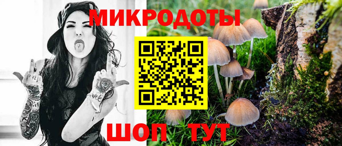 Россия  Галлюциногенные грибы ЛСД  наркота  Вход с VPN  Псилоцибиновые грибы ЛСД 